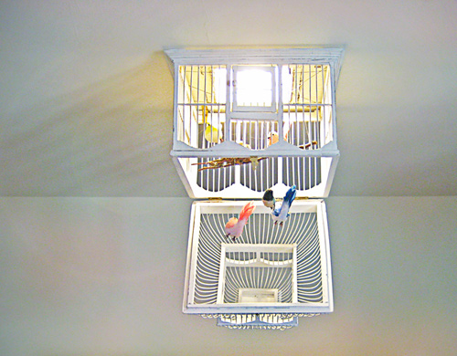 Birdcage Chandelier