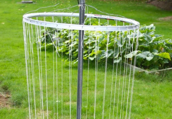 Garden Trellis