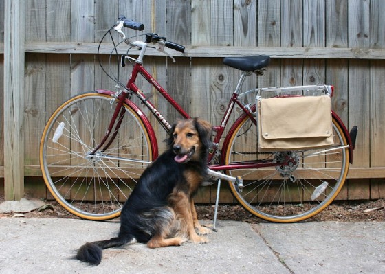 Bike Pannier