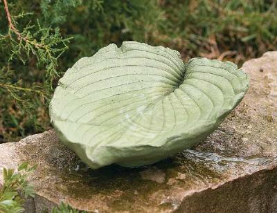 Cemented Leaf