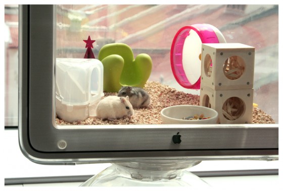 IMac Hamster House