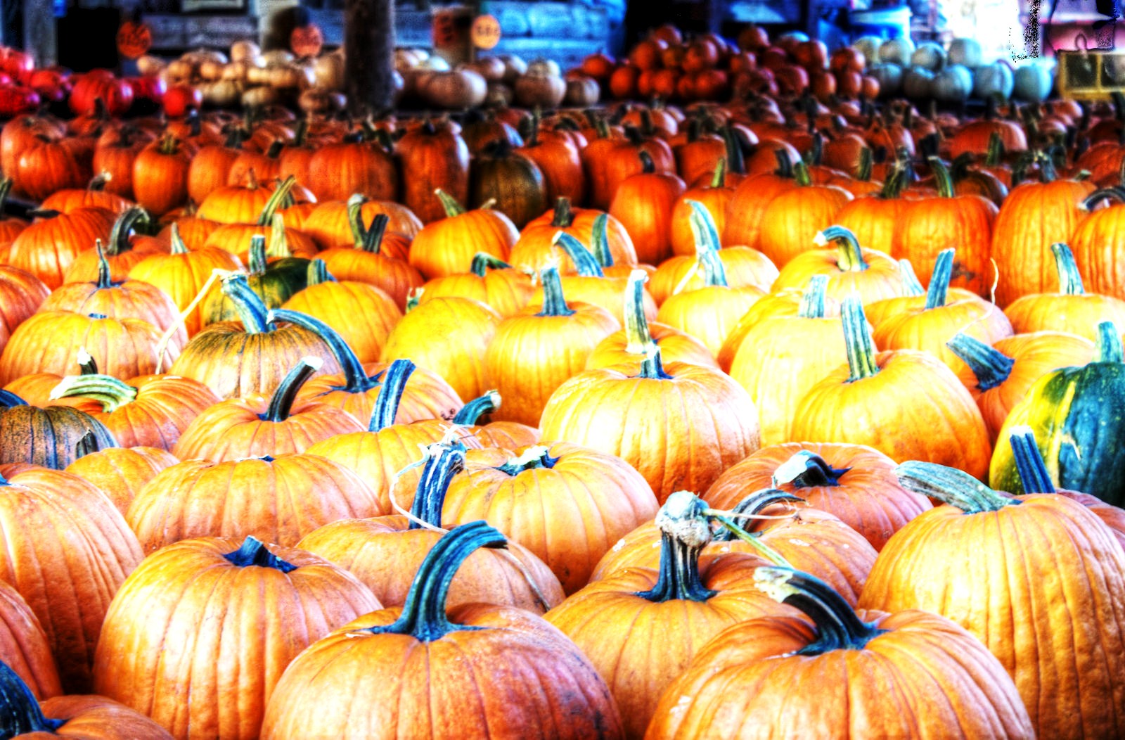 Pumpkin Carving