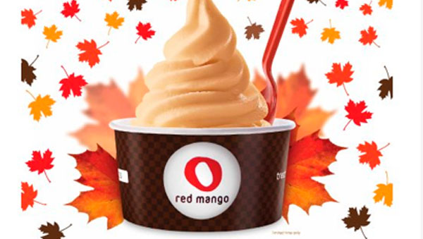 Red Mango's Pumpkin Spice Frozen Yogurt