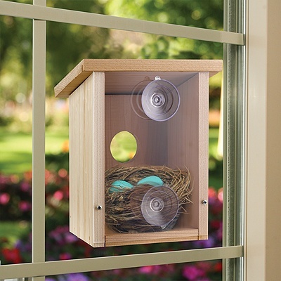 Build a Birdhouse View