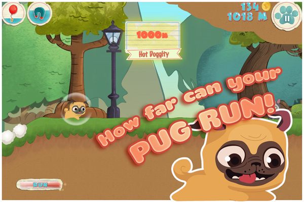 Pug Run