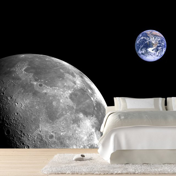 Moon and Earth Wall Mural