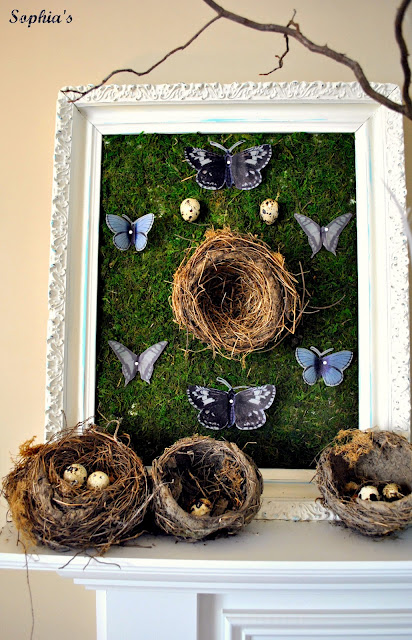 Framed Moss Nest