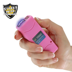 Mini Stun Gun