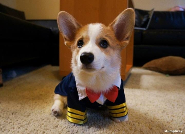 Tiny Sailor…