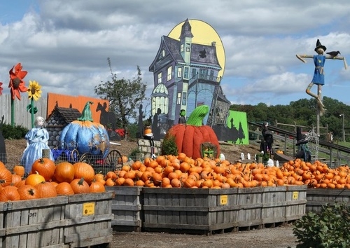 Harvest Festivals