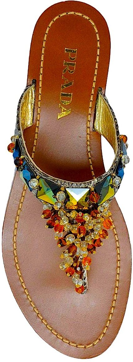 footwear,fashion accessory,food,sandal,outdoor shoe,