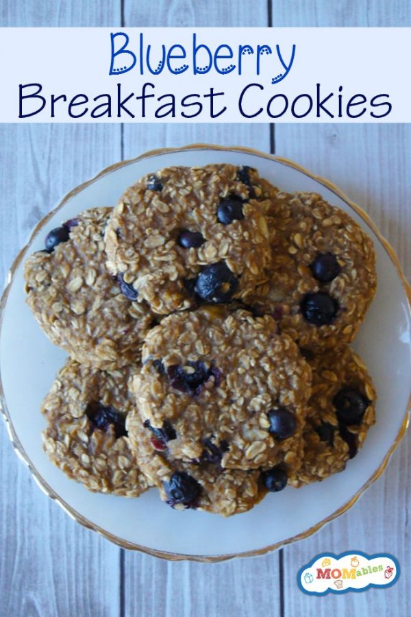 Blueberry Breakfast Cookie Recipe