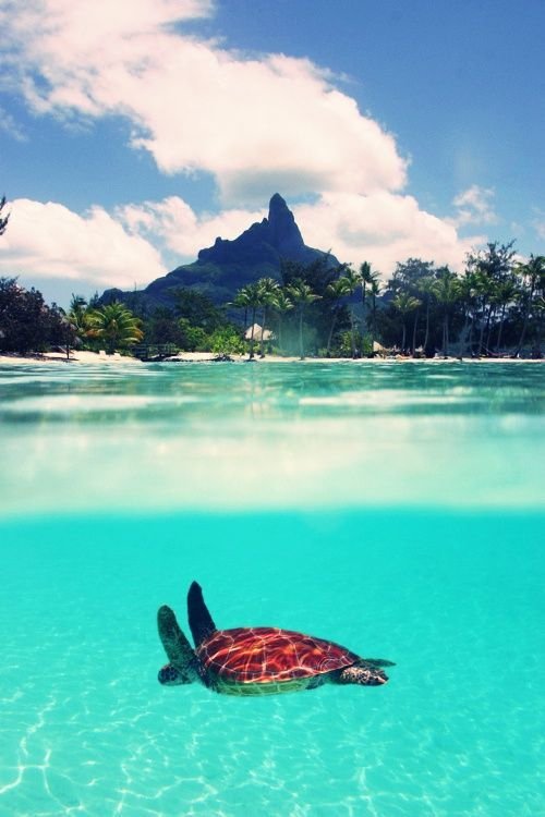 Bora Bora, Society Islands