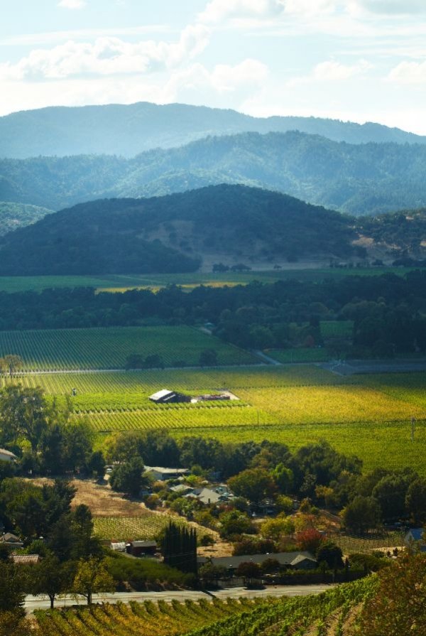 Napa Valley