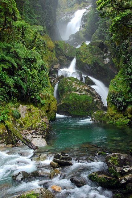 The Milford Track #1