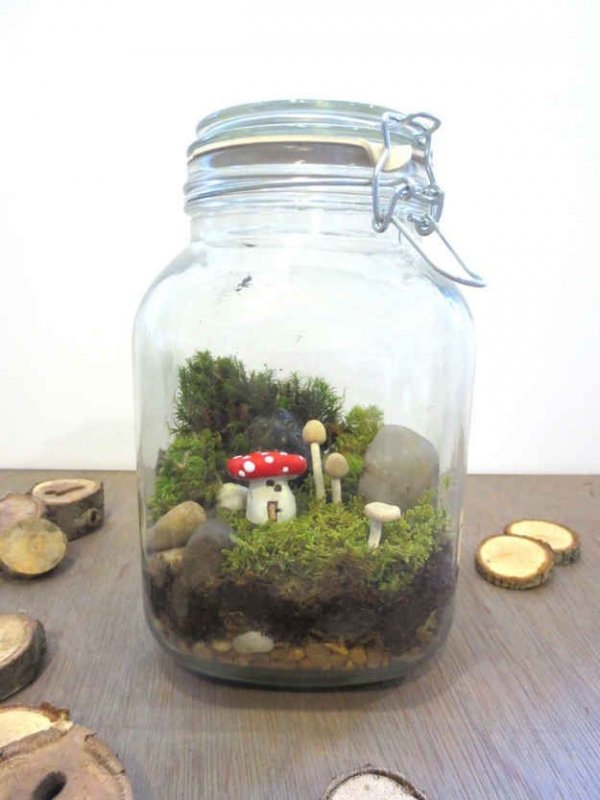 Terrarium