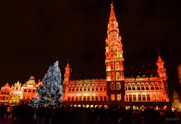 landmark, night, evening, tower, christmas lights,