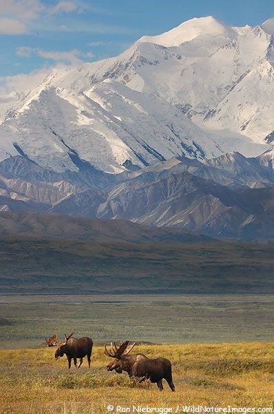 Mount McKinley/Mount Denali