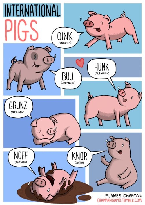 Pig-Speak?