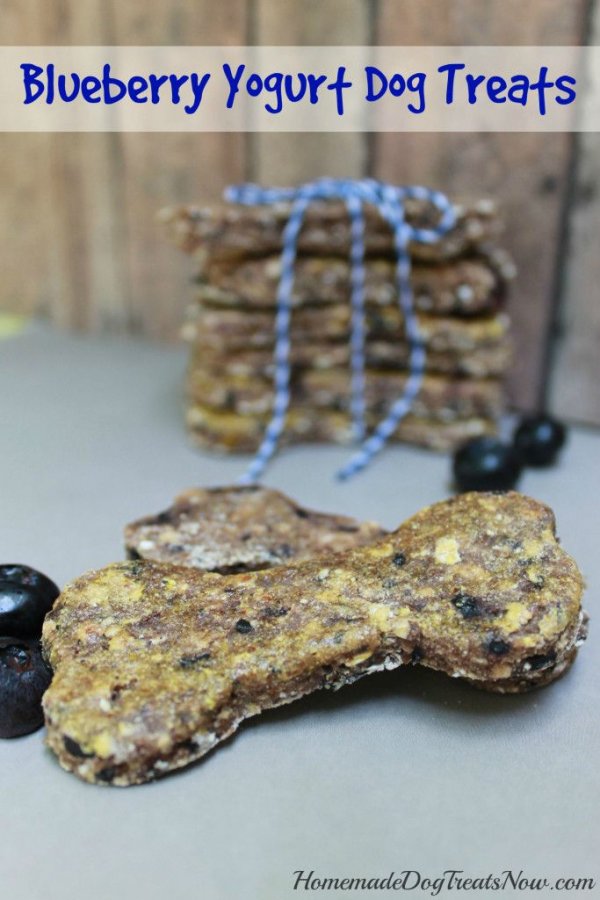 Blueberry Yogurt Dog Treats