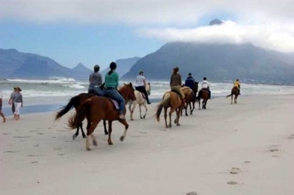 Go Horse Riding on the Beach