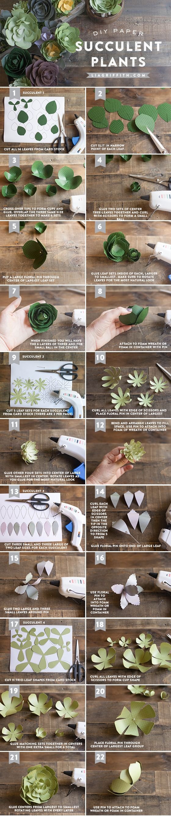 Paper Succulents