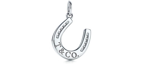 T&CO. Horseshoe Charm and Chain