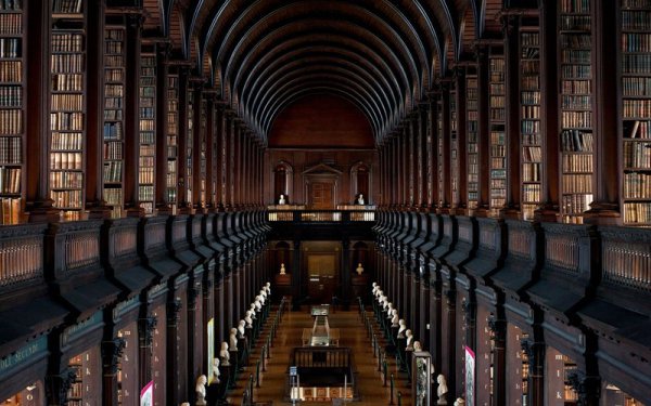 library, building, public library, institution, chapel,