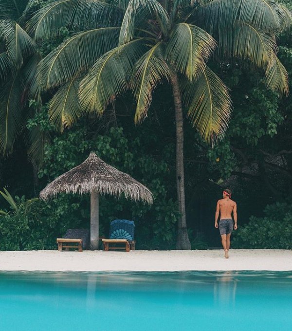 vacation, swimming pool, tree, sea, resort,