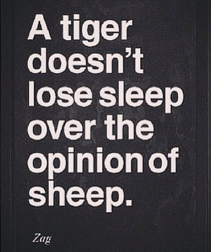 Tiger Vs. Sheep