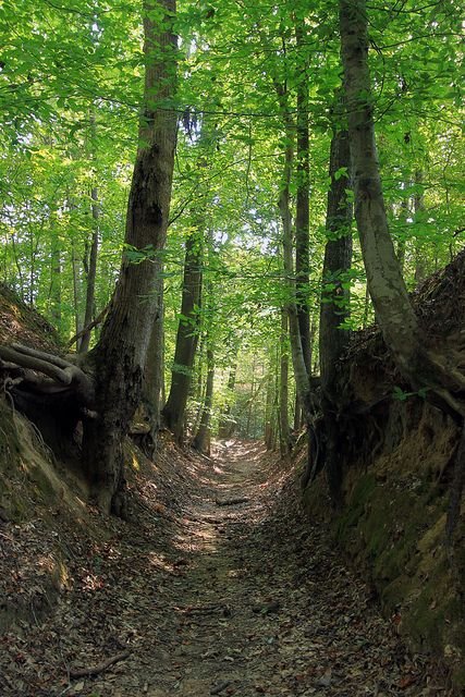 Mississippi – Natchez Trace Parkway