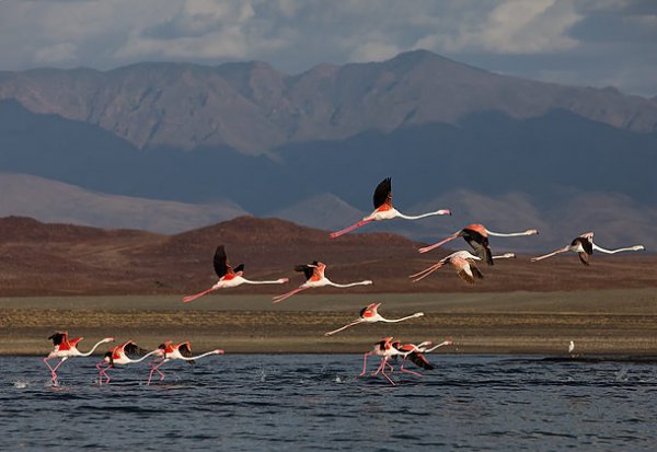 Lake Turkana National Park, Kenya