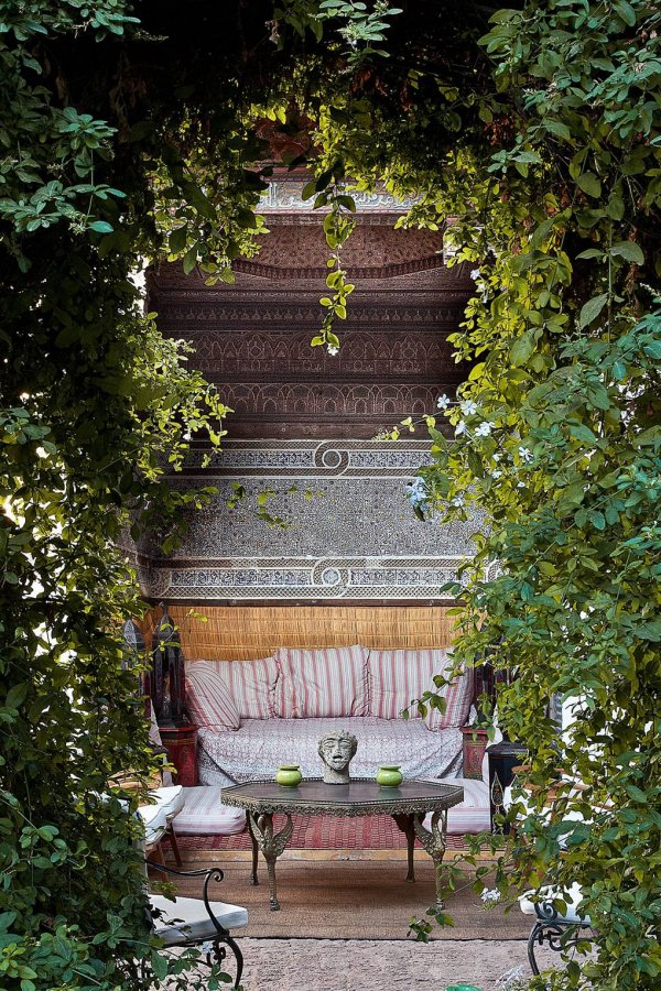 Green, Bench, Garden, Botany, Tree,