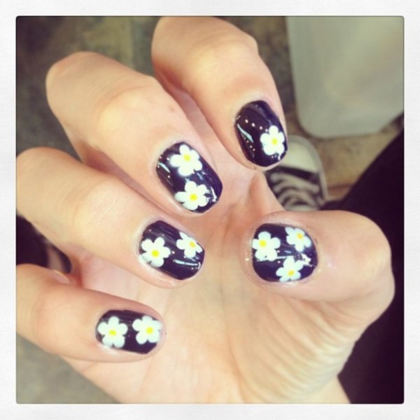 Cute Little Daisies