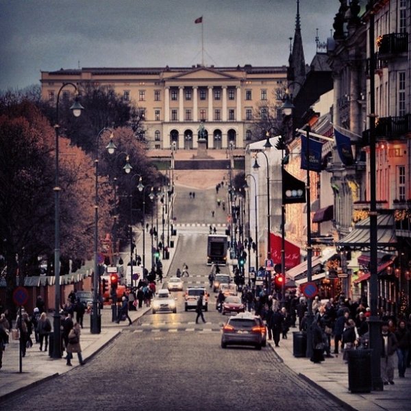 Karl Johans Street,Royal Palace, Oslo,Royal Palace,crowd,city,