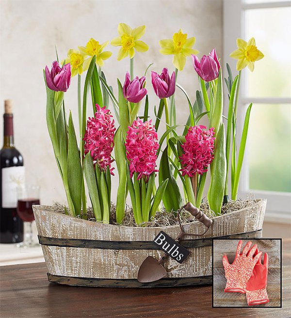 Flower, Flowerpot, Plant, Cut flowers, Houseplant,