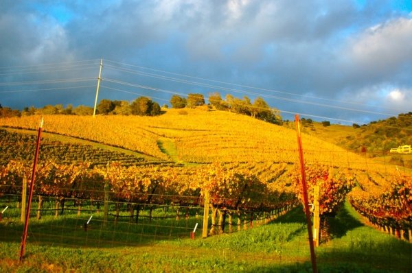 Napa Valley