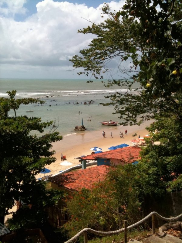 Dolphins Bay, Praia De Pipa, Brazil