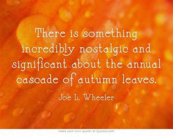 19 Lovely Quotes About Autumn