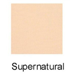 Honeybee Gardens Super Natural Mineral Powder Foundation