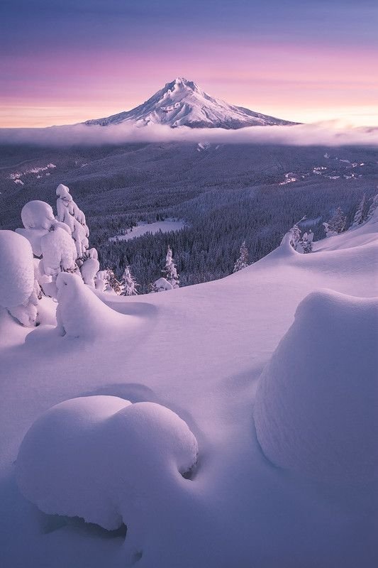 Near Mt. Hood