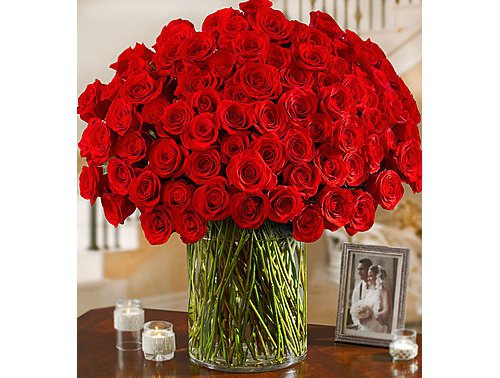 flower,cut flowers,flower arranging,red,plant,