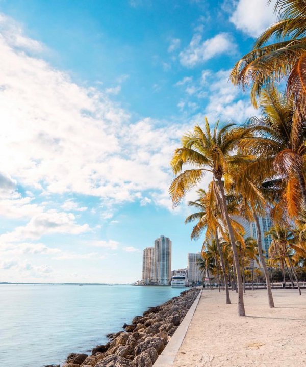 Sky, Tree, Palm tree, Daytime, Sea,