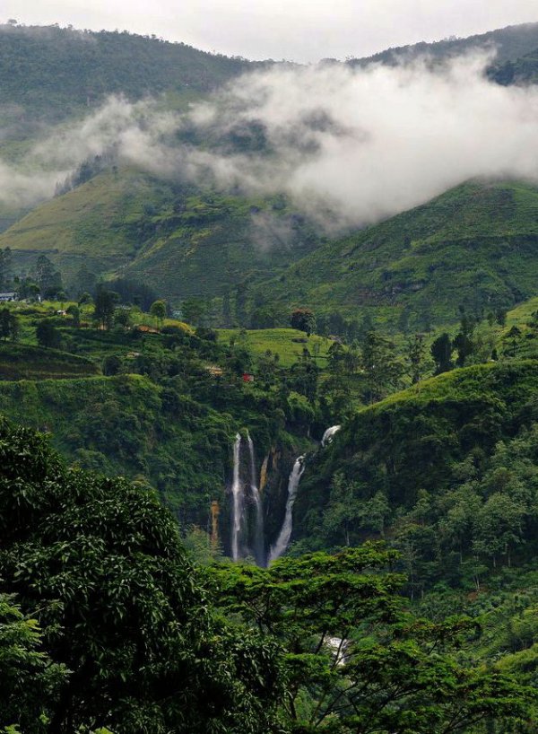 Go for a Long Walk and Get Drenched in the Mist