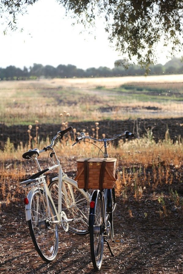 Bikes & Fields