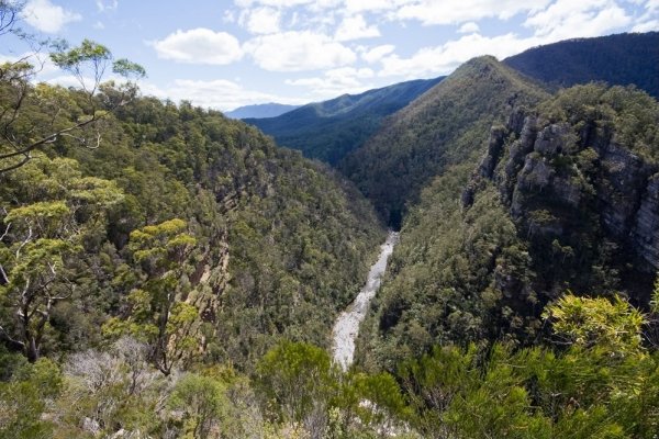 Alum Cliffs, Mole Creek