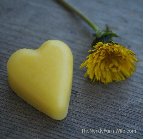 Dandelion Lotion Bars for Smooth Skin