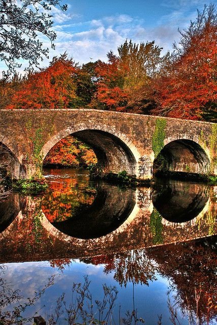 Brannockstown, Kildare