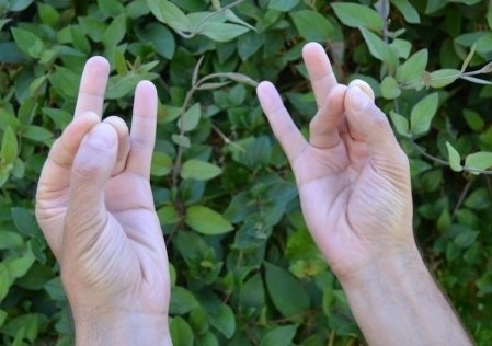 Rudra Mudra