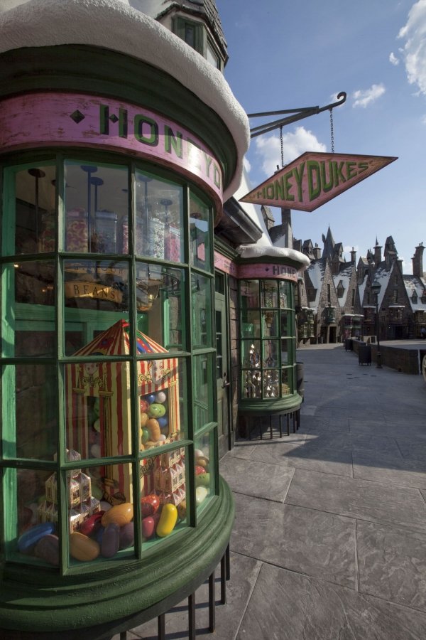 Go to the Wizarding World of Harry Potter